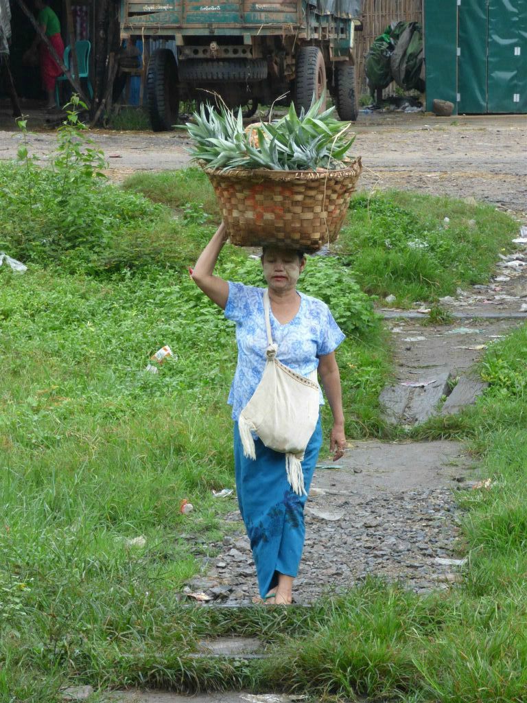 HSIPAW - een vrouw met een mand ananas