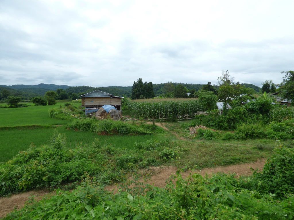 HSIPAW -> PYIN OO LWIN - het uitzicht onderweg tijdens de treinrit naar Pyin Oo Lwin