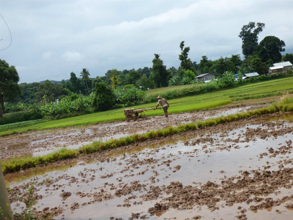HSIPAW -> PYIN OO LWIN - een man aan het werk op zijn akker onderweg tijdens de treinrit naar Pyin Oo Lwin