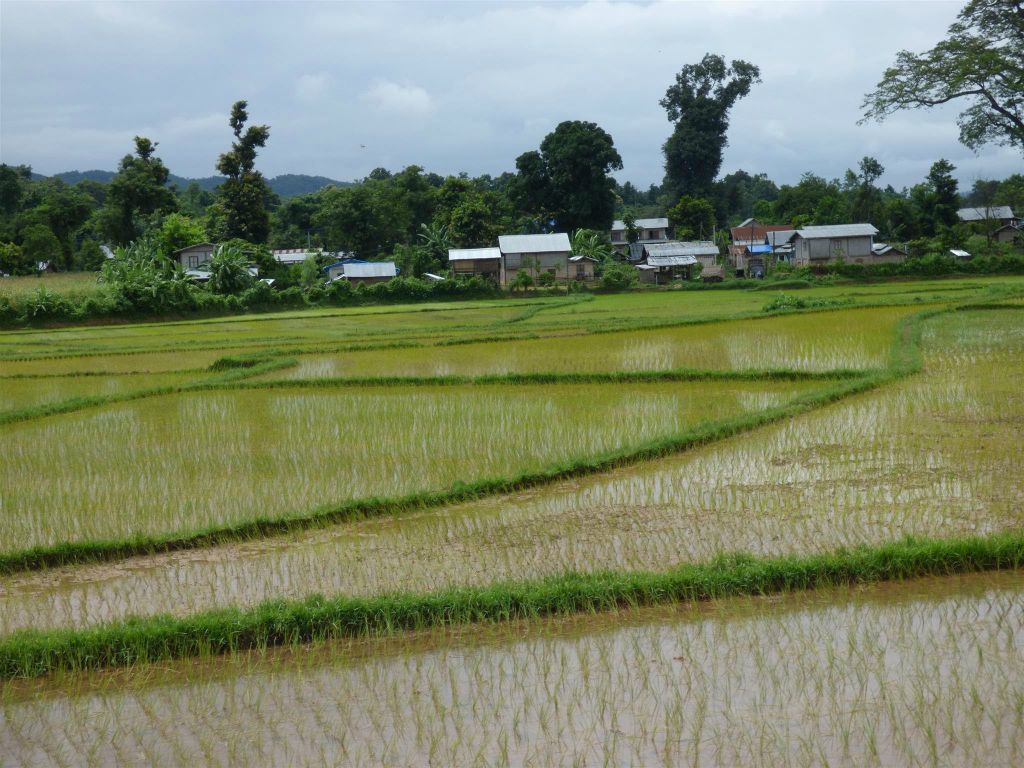 HSIPAW -> PYIN OO LWIN - het uitzicht  onderweg tijdens de treinrit naar Pyin Oo Lwin
