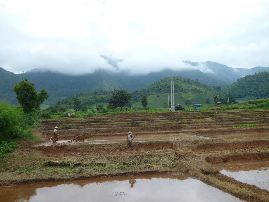 HSIPAW -> PYIN OO LWIN - het uitzicht onderweg tijdens de treinrit naar Pyin Oo Lwin