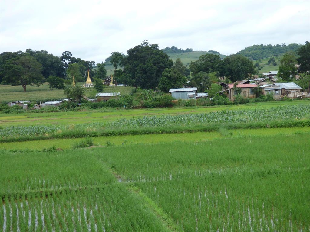HSIPAW -> PYIN OO LWIN - het uitzicht onderweg tijdens de treinrit naar Pyin Oo Lwin