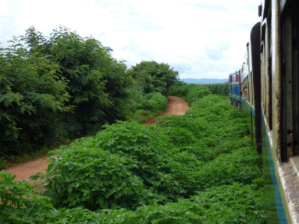 HSIPAW -> PYIN OO LWIN - de trein in het landschap onderweg tijdens de treinrit naar Pyin Oo Lwin