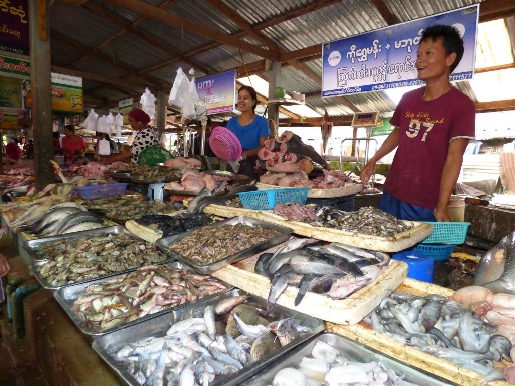 PYIN OO LWIN - diverse vis op een lokale markt