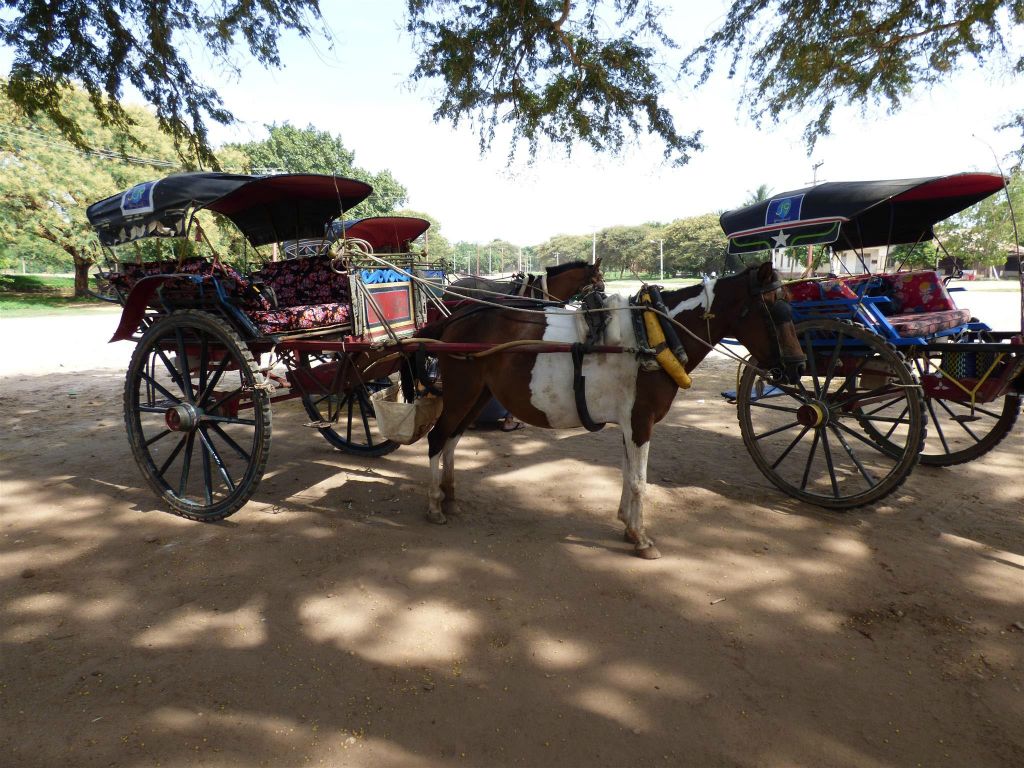 BAGAN - een paard en wagen waarmee we door old Bagan rijden