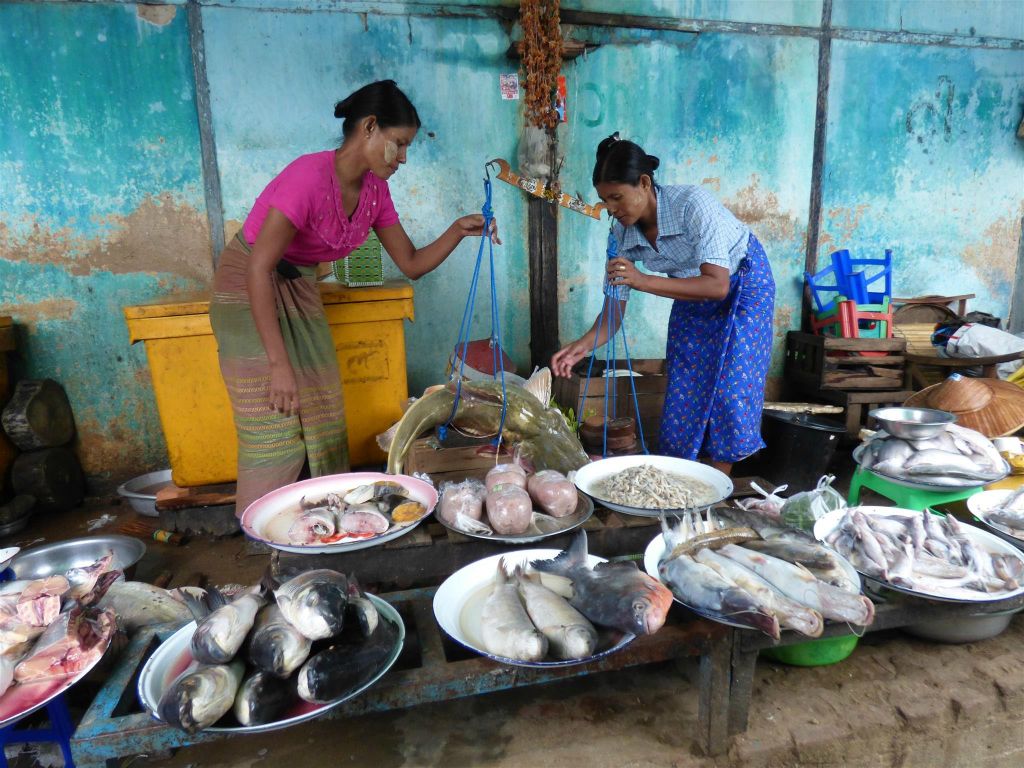 BAGAN - vis op een lokale markt