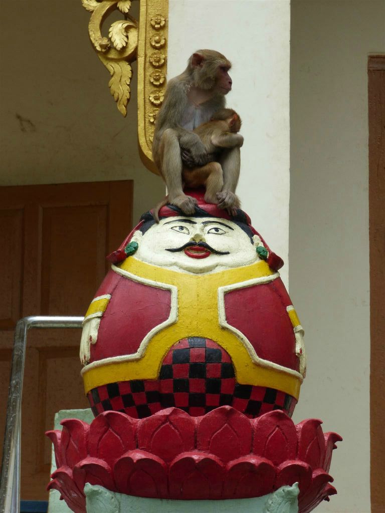 BAGAN -> MEIKTILA - een makaak met jong op een beeld bij de heilige berg Mount Popa