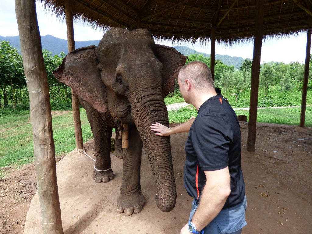 MAGWE -  Carlos raakt een olifant aan bij het Green Hill Valley Elephant Camp