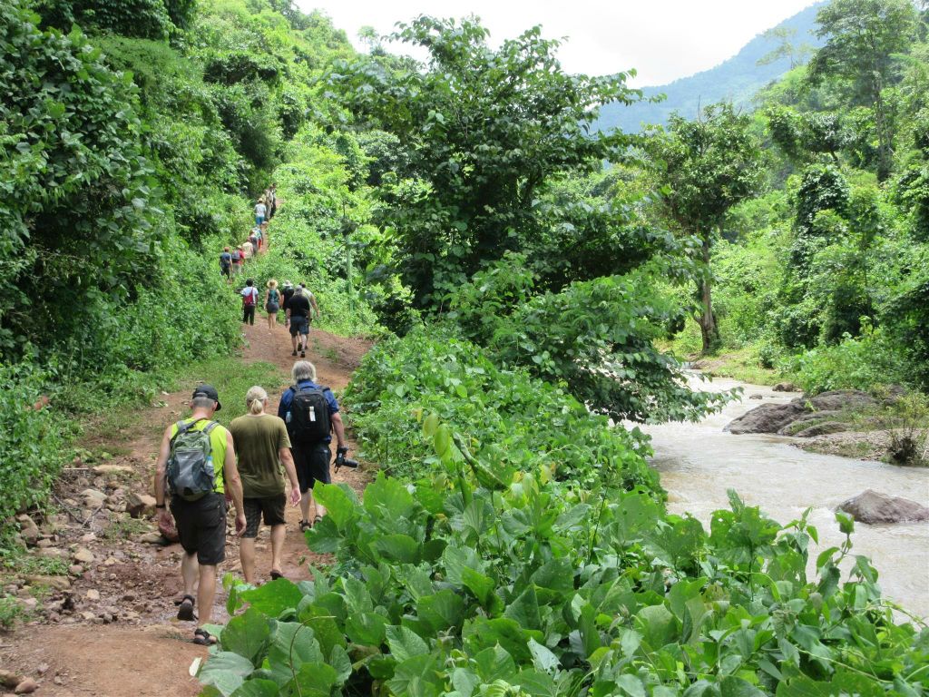 MAGWE -  Carlos en groepsgenoten wandelen naar de lunchplek bij het Green Hill Valley Elephant Camp