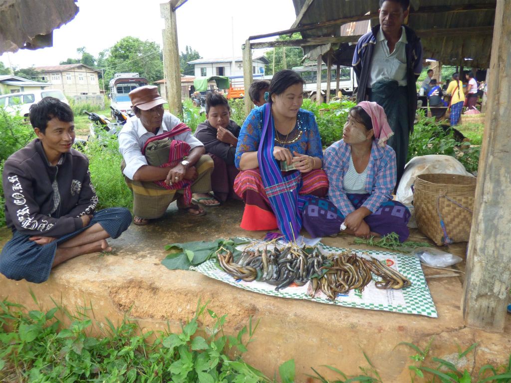 KALAW -> PINDAYA - vis op een lokale markt