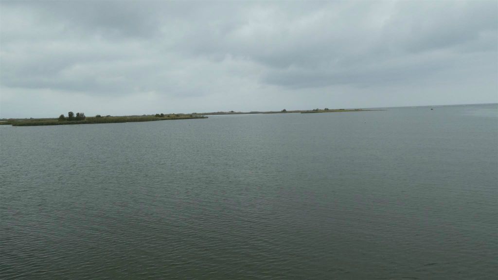 RIUMAR - het Ebro Delta reservaat