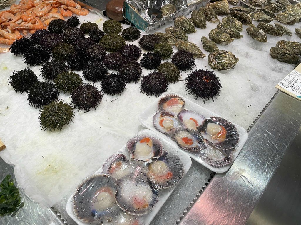 VALENCIA - enkele zee-egels en mosselen bij de versmarkt Mercado Central