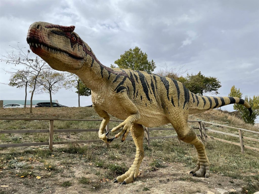 MORELLA - een Allosaurus fragilis