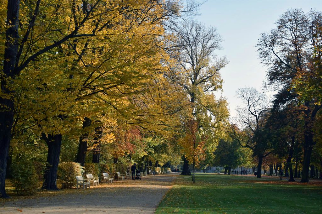 WARSCHAU - het Łazienki park