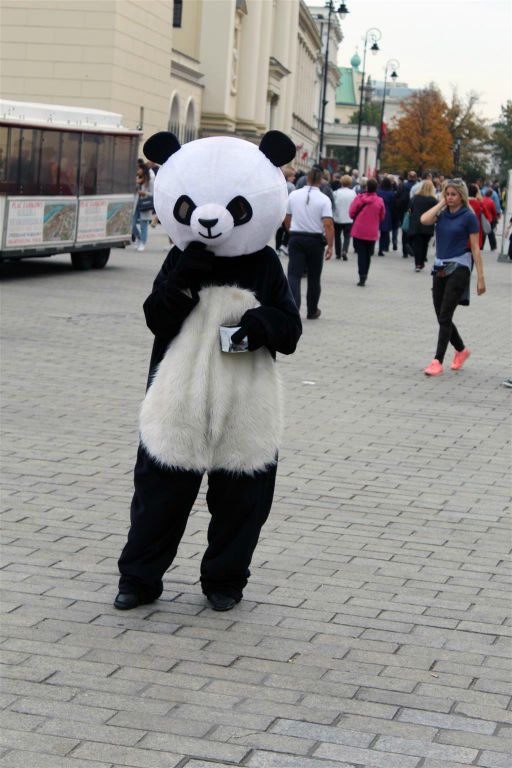 WARSCHAU - iemand verkleed als panda