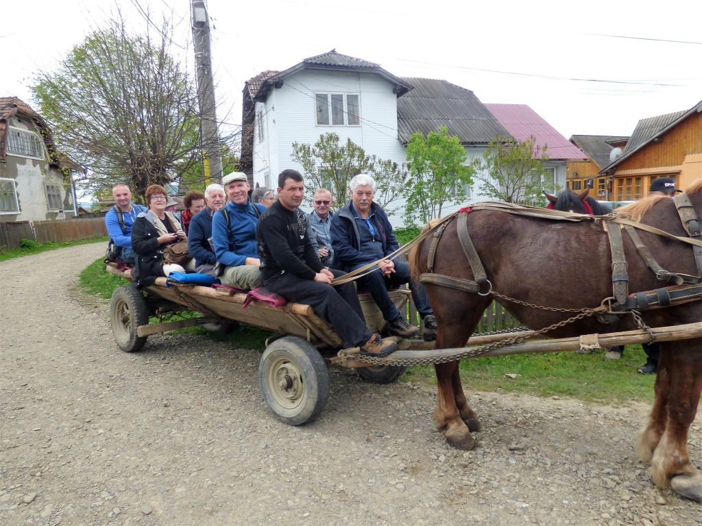 VATRA MOLDOVITEI - Carlos en reisgenoten op een kar die voortgetrokken wordt door een paard
