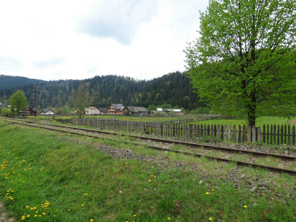 VATRA MOLDOVITEI -  het landschap tijdens de paard en wagen rit
