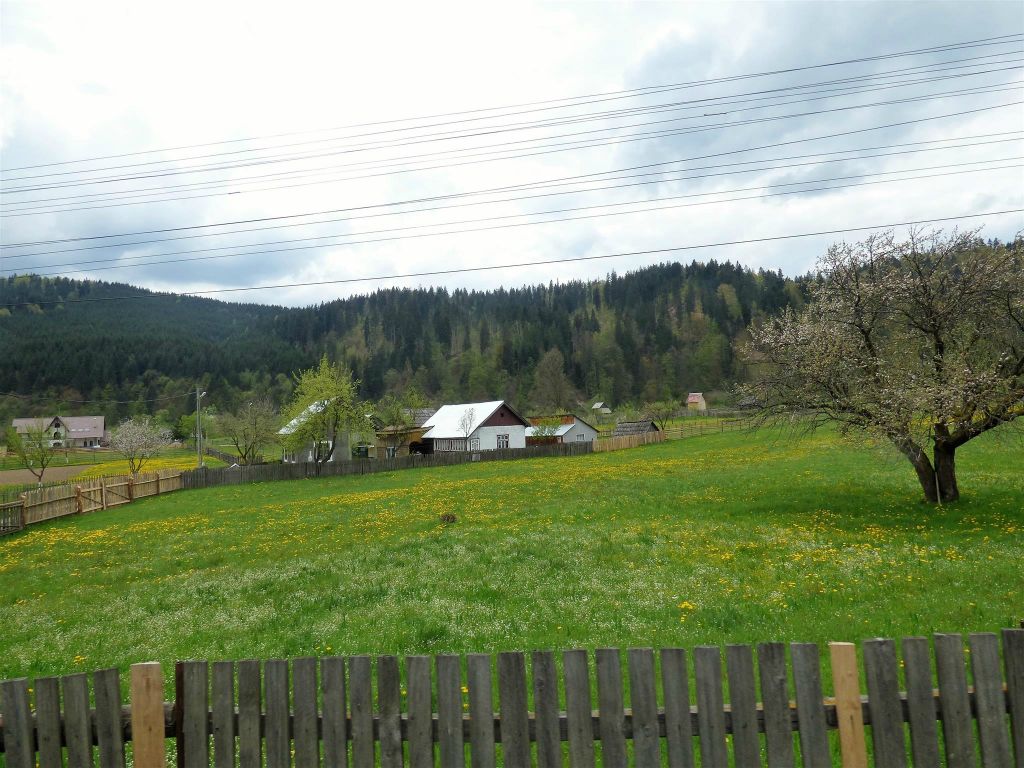 VATRA MOLDOVITEI - het landschap tijdens de paard en wagen rit