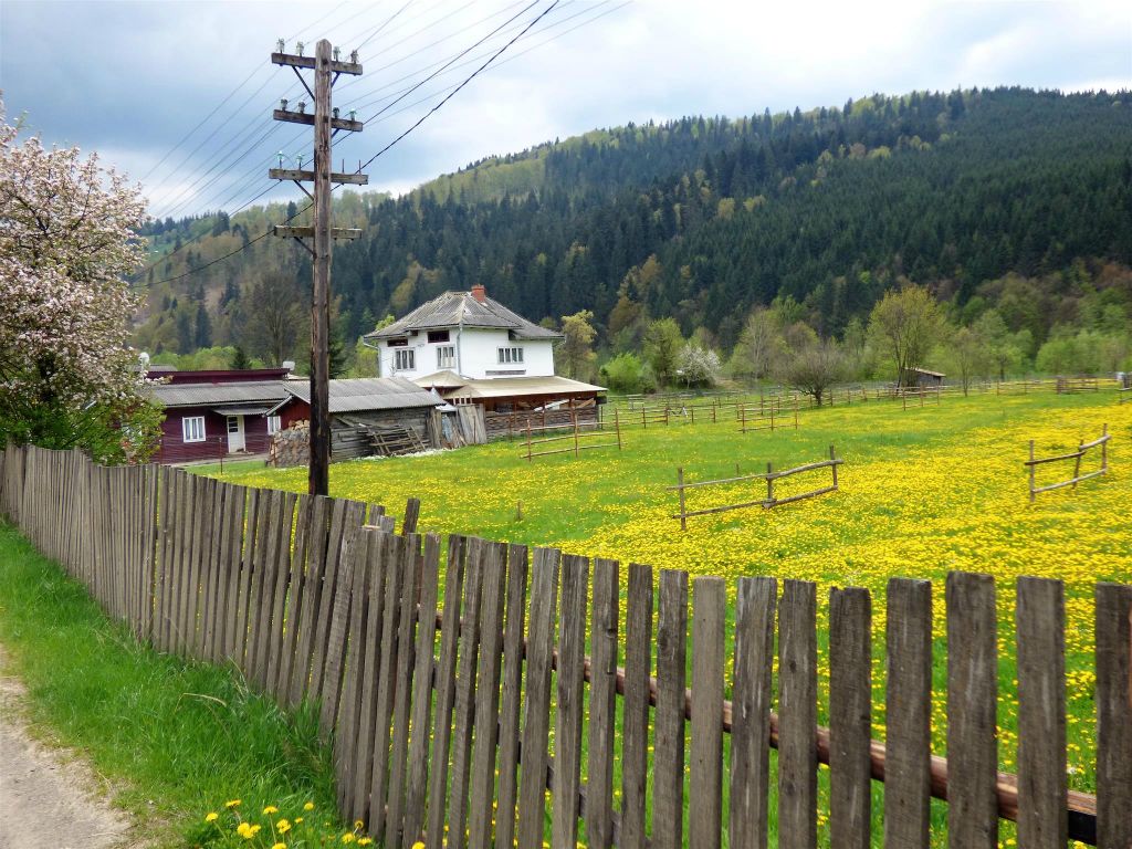 VATRA MOLDOVITEI - het landschap tijdens de paard en wagen rit