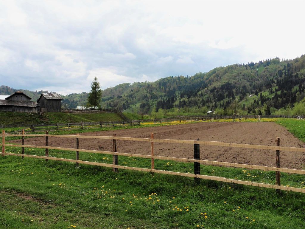 VATRA MOLDOVITEI - onderweg tijdens de paard en wagen rit