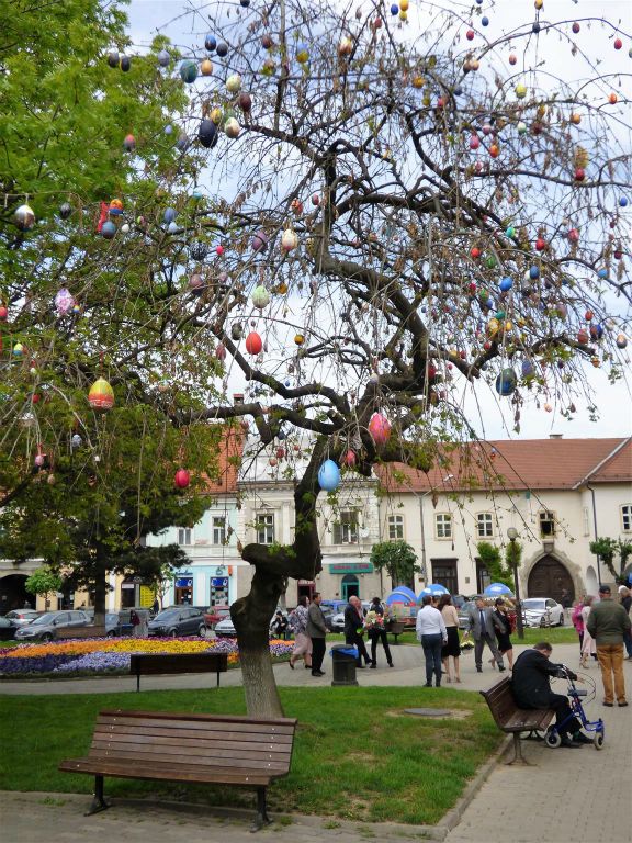 BISTRITA - een boom versierd met paaseieren