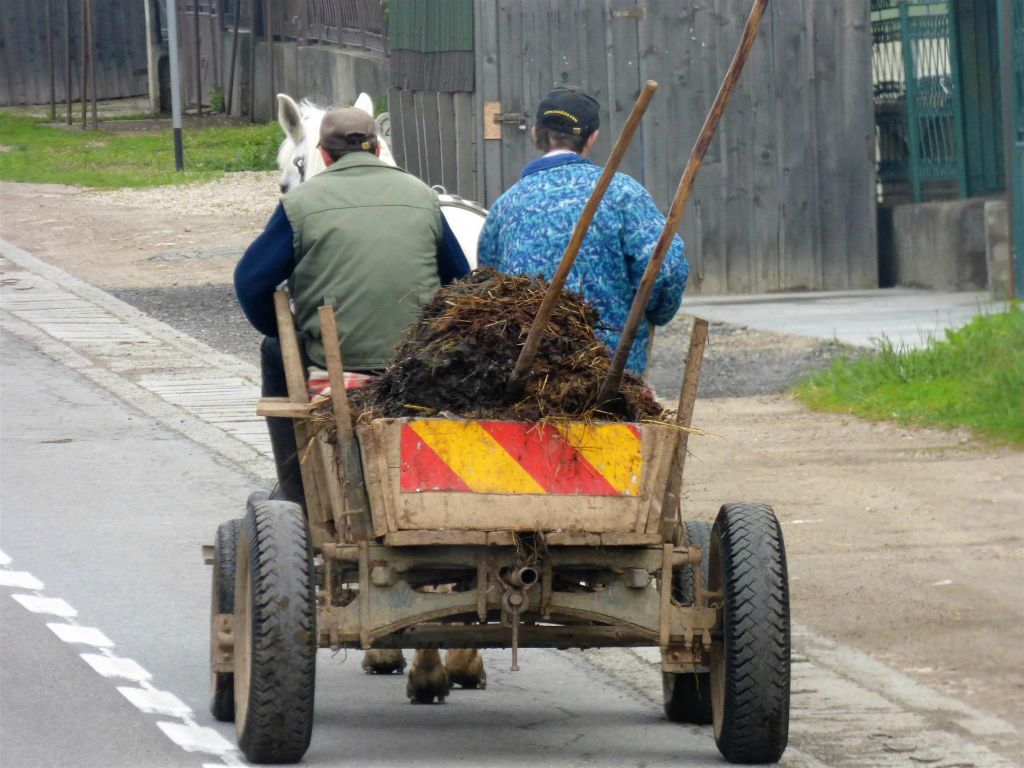 CLUJ NAPOCA -> DEBRECEN (HONGARIJE) - een paard en wagen met mest