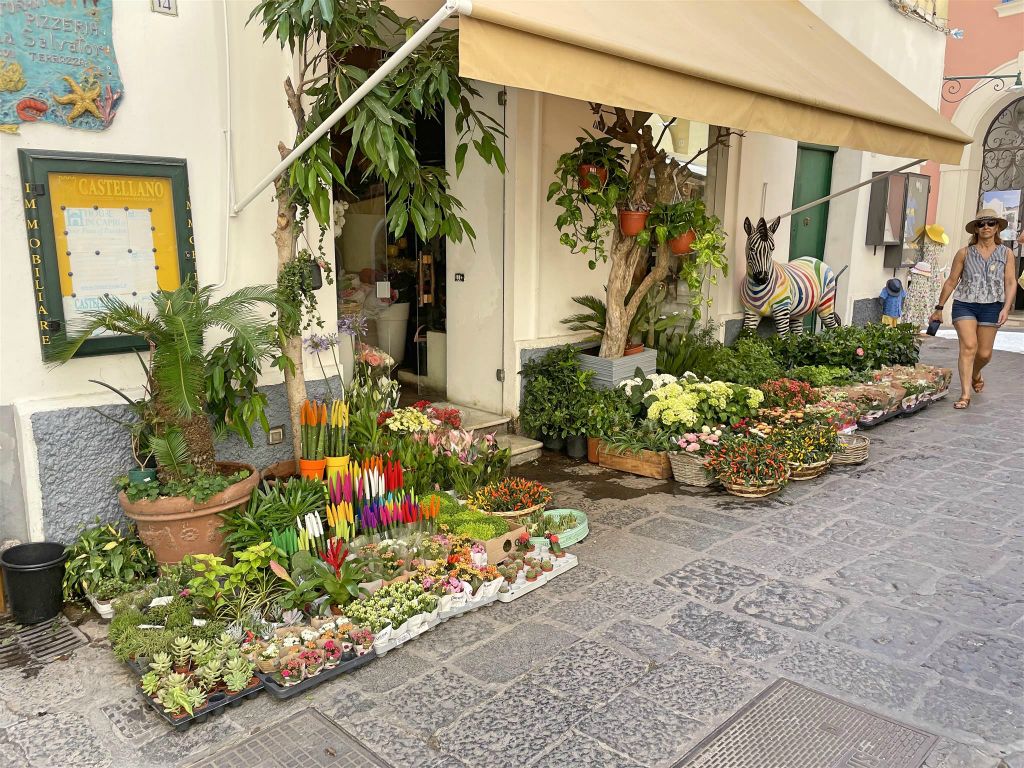 CAPRI - een bloemenwinkel