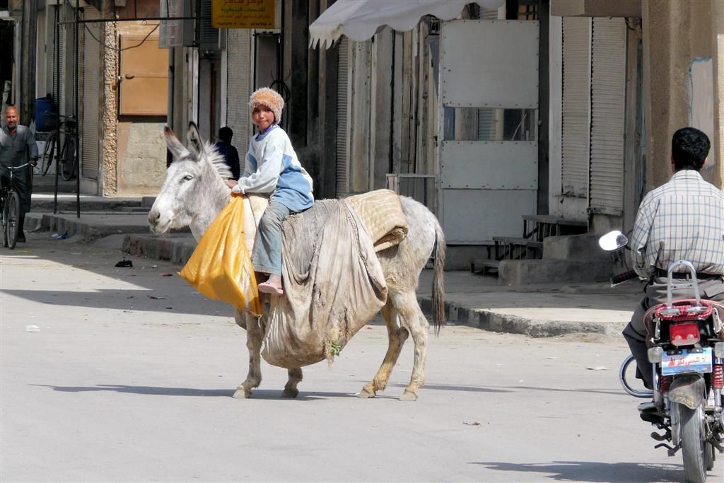 SYRIЁ - PALMYRA - jongen op ezel