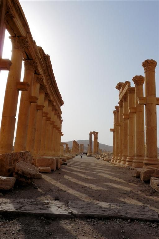 SYRIЁ - PALMYRA - romeinse hoofdstraat