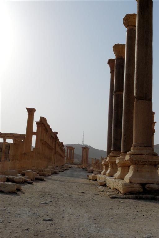 SYRIЁ - PALMYRA - romeinse hoofdstraat