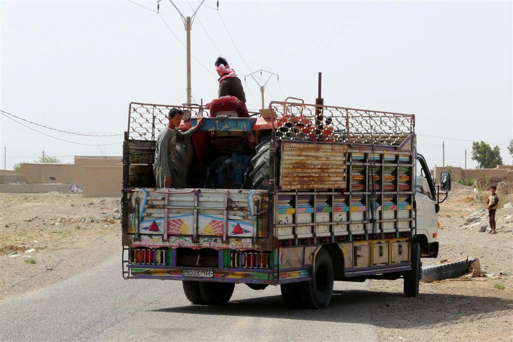 SYRIЁ - HALLABIYEH - tractor met bestuurder in vrachtwagen