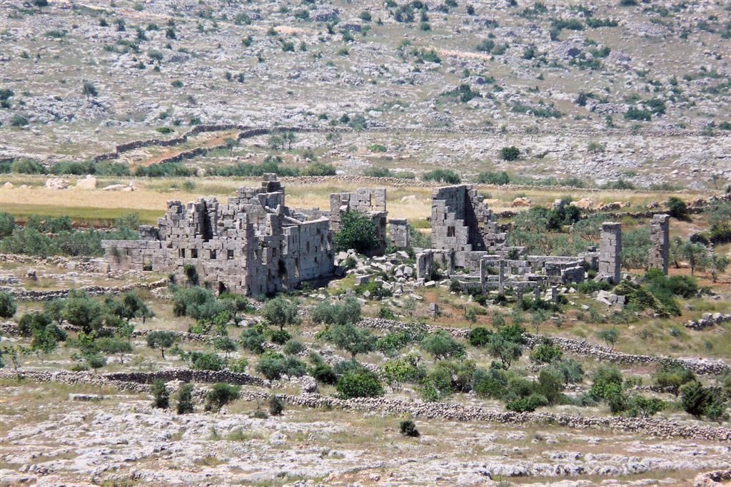 SYRIЁ - QALA'AT SAMAAN (60km ALEPPO) - uitzicht op ruïne vanaf Simeonsklooster