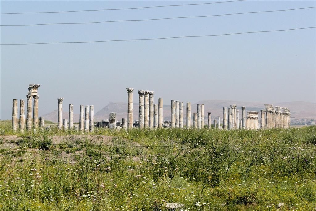 SYRIЁ - APAMEA - overzichtsfoto zuilengang