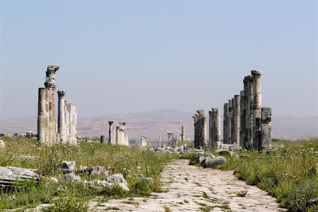 SYRIЁ - APAMEA - romeinse zuilen