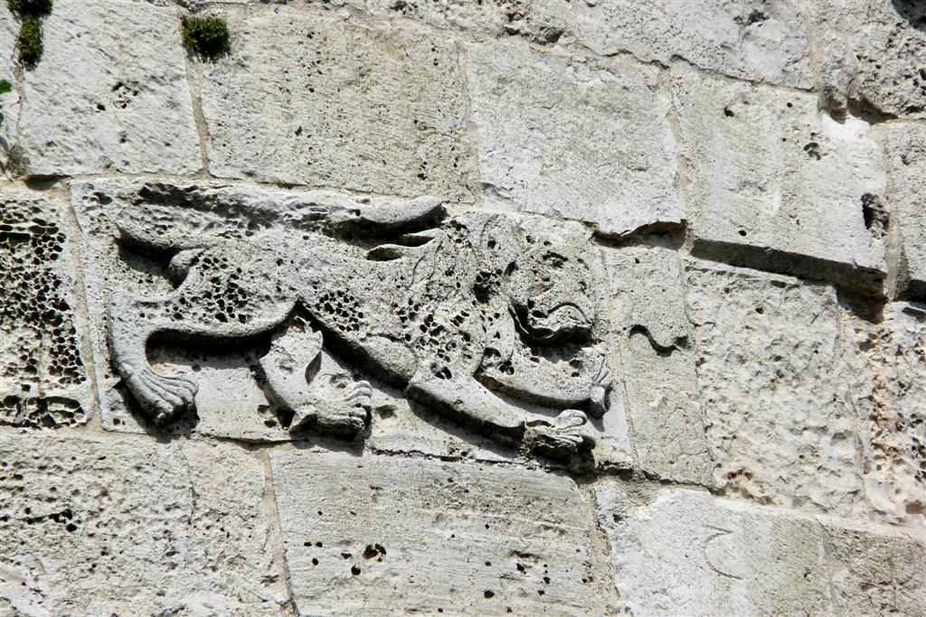 SYRIЁ - KRAK DES CHEVALIERS - leeuwsymbool op muur kruisvaardersburcht
