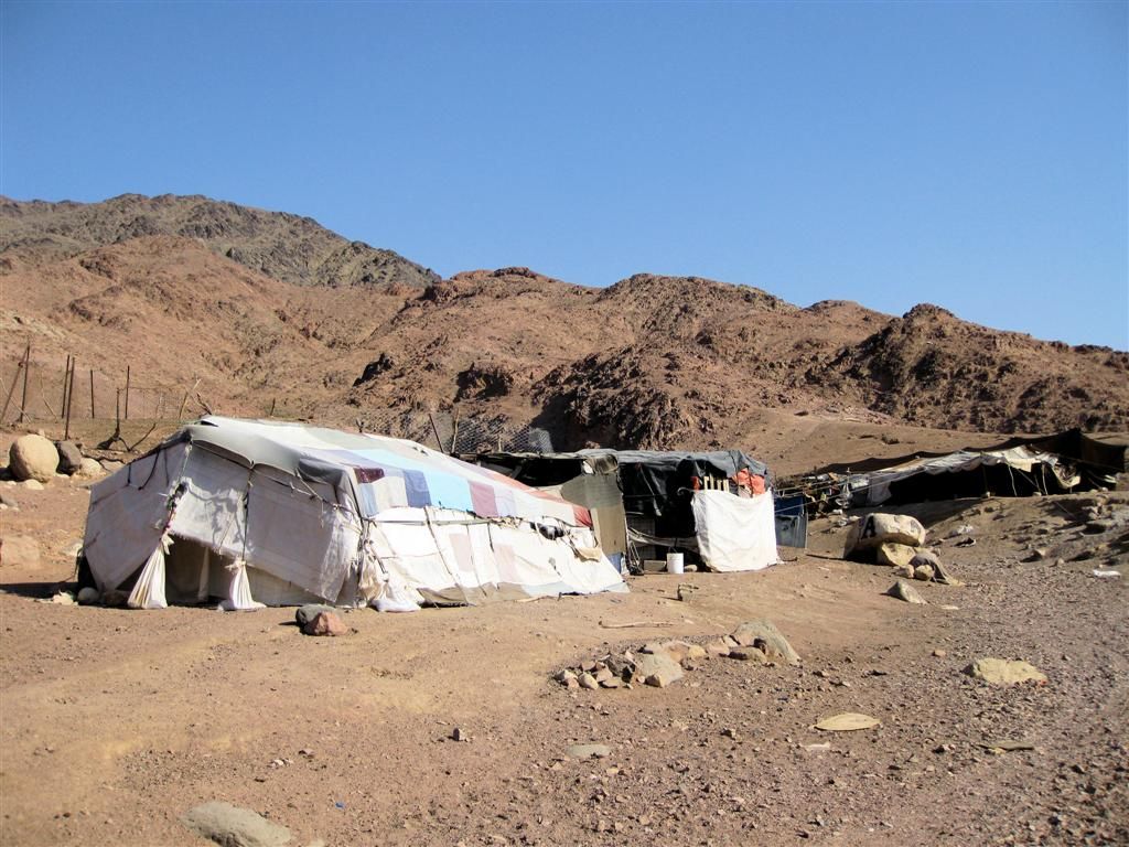 JORDANIЁ - DANA NATIONAL PARK - bedoeinententen