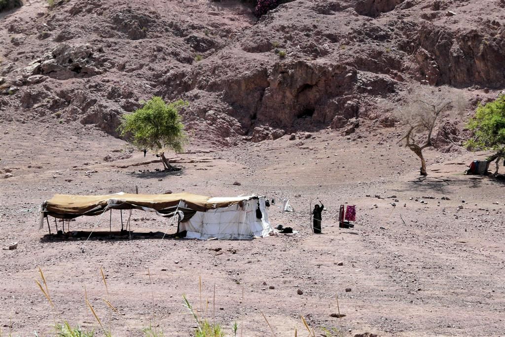 JORDANIЁ - DANA NATIONAL PARK - bedoeinen familielid zwaait ons toe