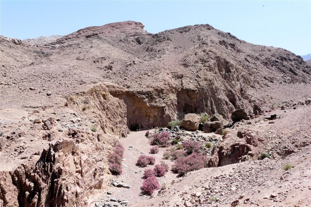JORDANIЁ - DANA NATIONAL PARK - uitzicht tijdens wandeling