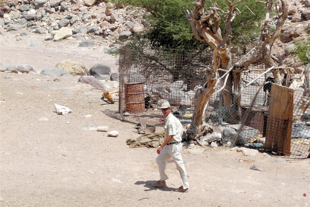 JORDANIЁ - DANA NATIONAL PARK - reisbegeleider Jan
