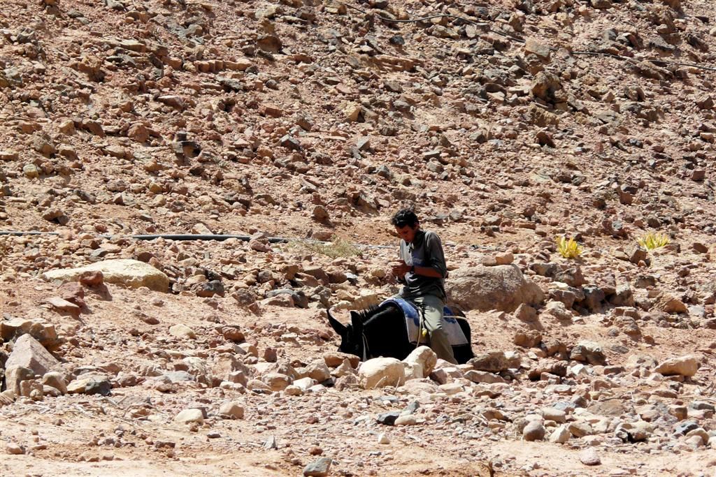 JORDANIЁ - DANA NATIONAL PARK - jongen op ezel