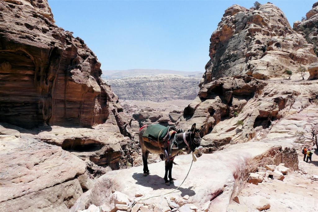 JORDANIЁ - PETRA - onderweg tijdens afdaling van klooster