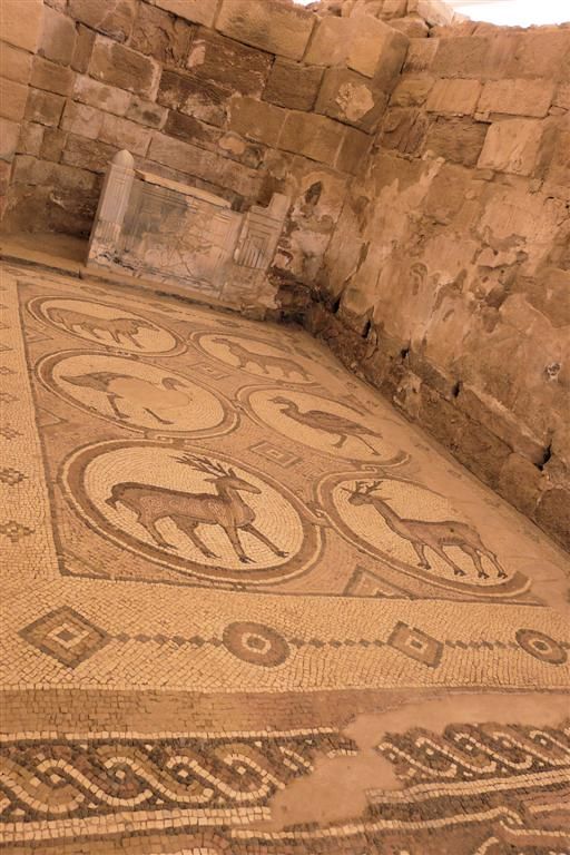 JORDANIЁ - PETRA - mozaïek in Byzantijnse kerk