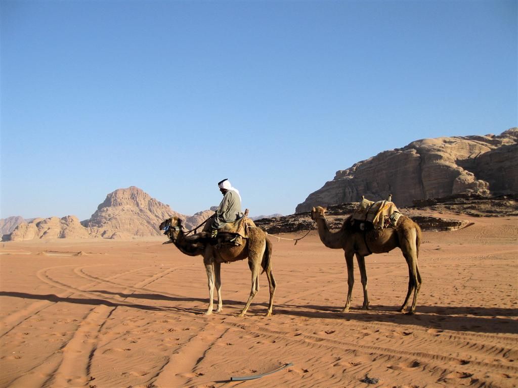 JORDANIЁ - WADI RUM - per kameel door de woestijn