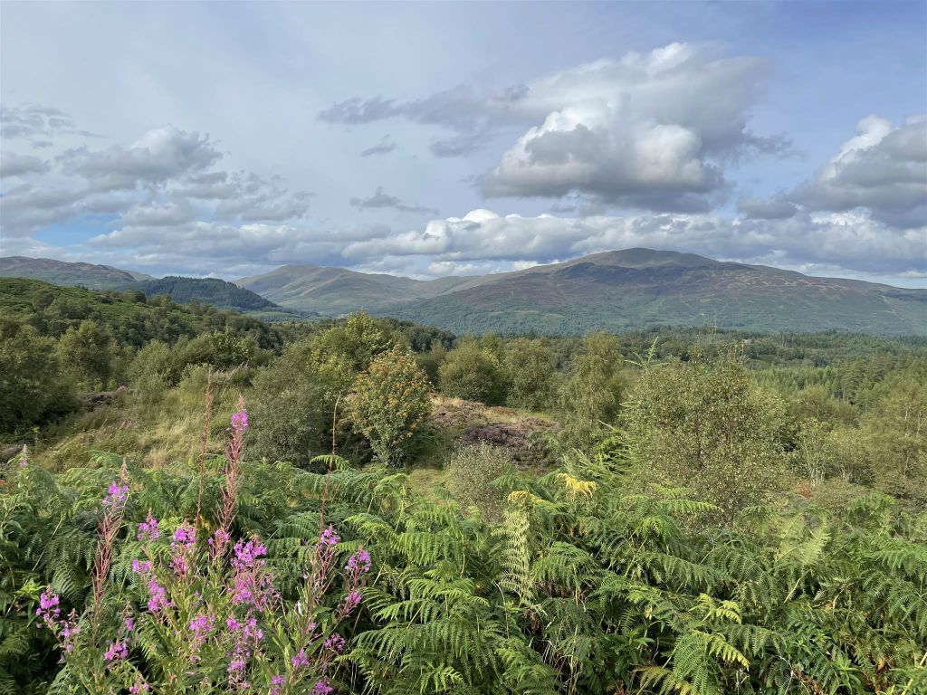 THREE LOCHS FOREST DRIVE - het uitzicht