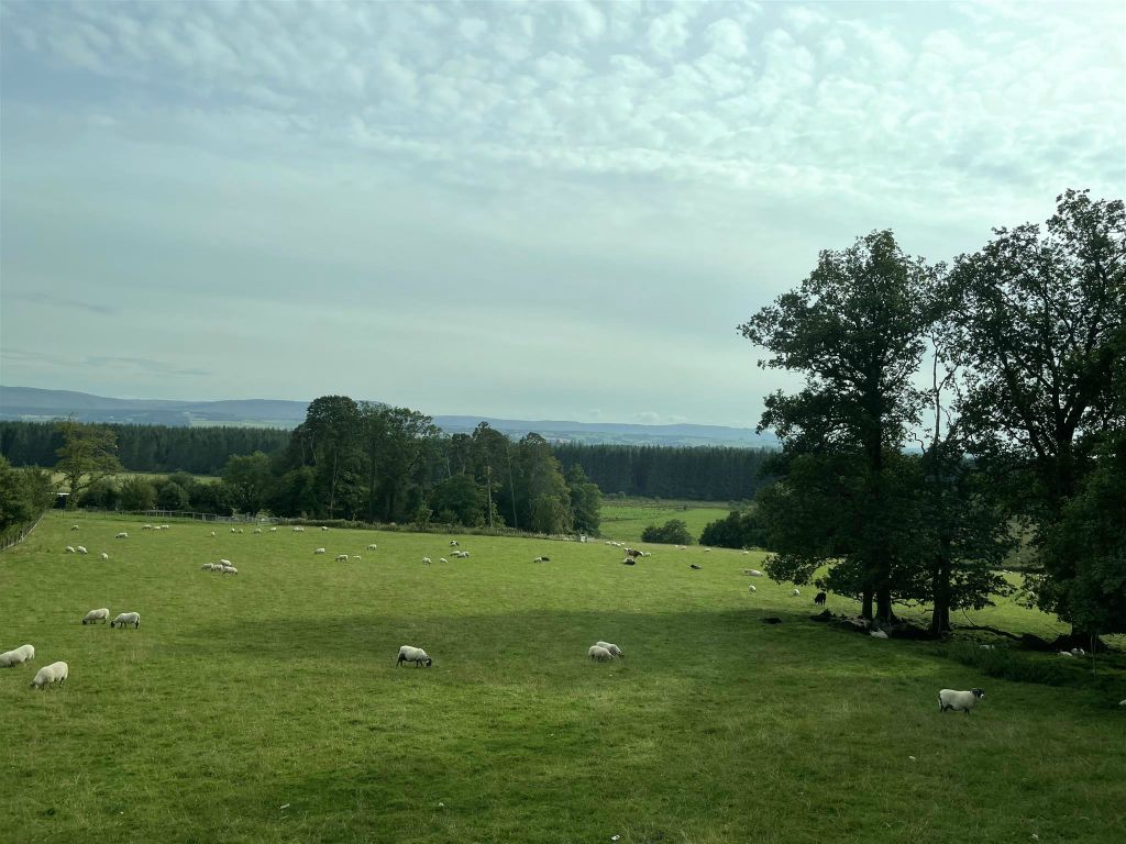 BLAIRHOYLE - het landschap