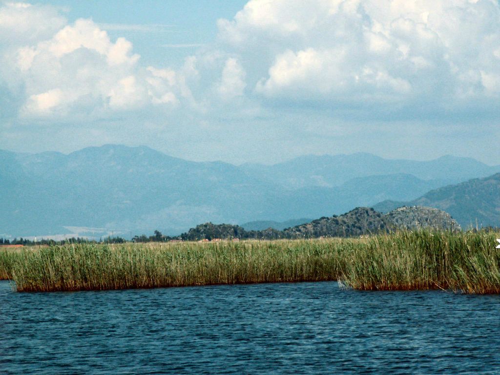 DALYAN - het uitzicht vanaf de boot waarmee we varen