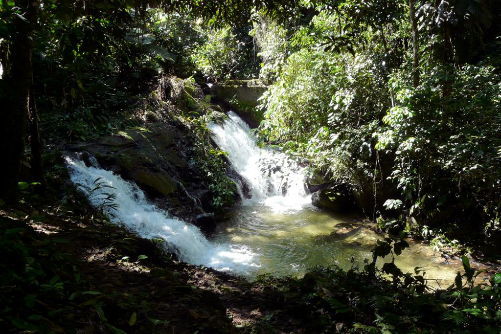 CHORONI (Henri Pitter Nationaal Park) - rivier