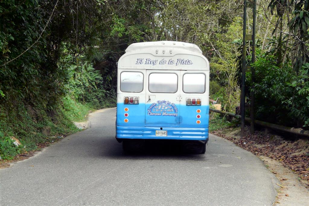 CHORONI (Henri Pitter Nationaal Park) - lokale bus