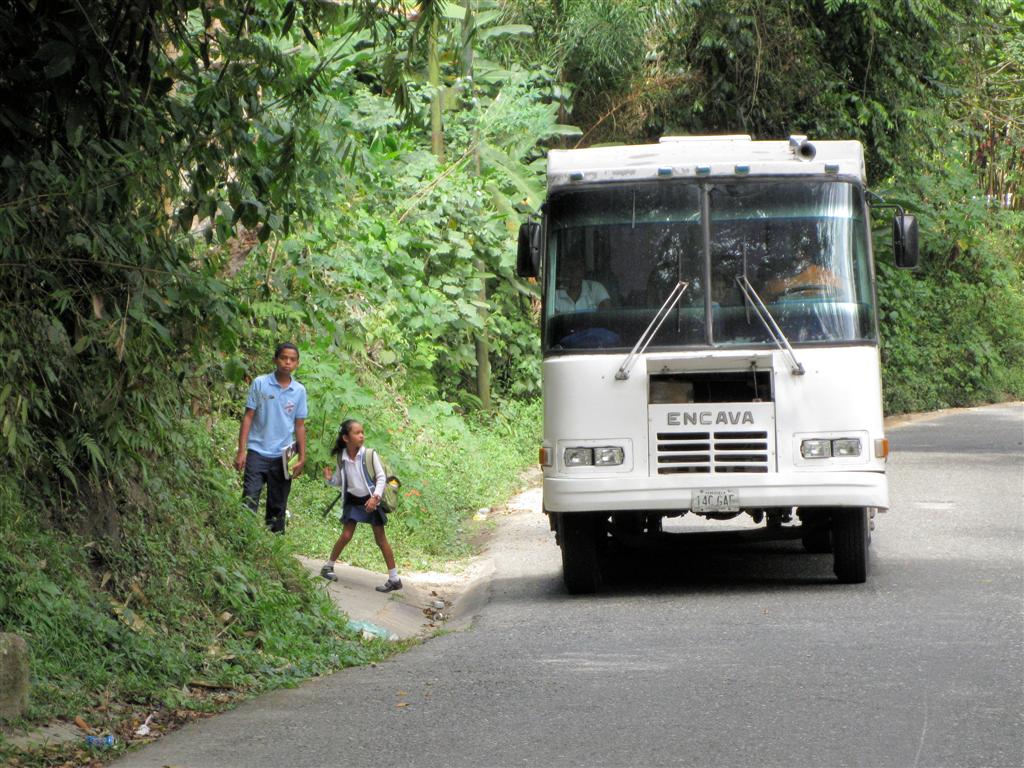 CHORONI (Henri Pitter Nationaal Park) - lokale bus