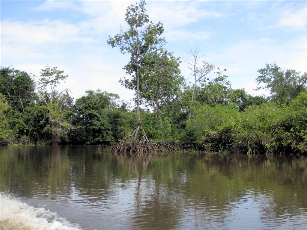 ORINOCO DELTA - uitzicht onderweg naar onze eco lodge